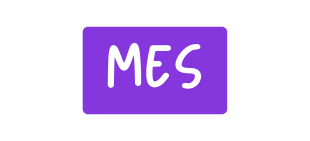 mes